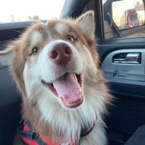 Meet your Posher, Kiet